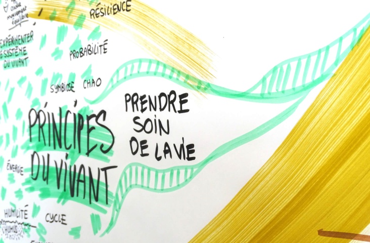 Breizh-biodiv-journee-diversite-fresque-ozidea-05-24 (17)-avatar