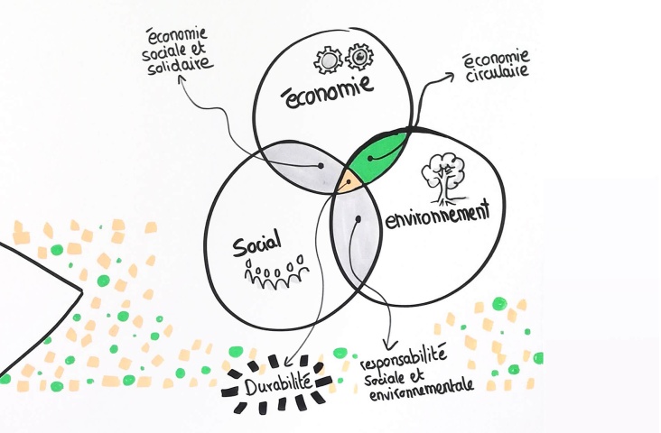 ozidea-OBC-innov-vipe-economie-circulaire-web-mini