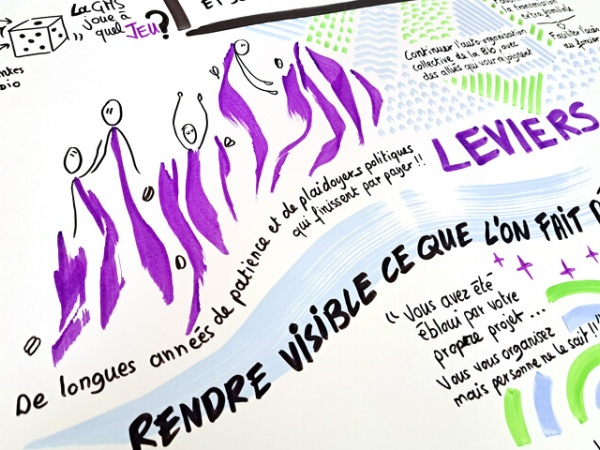 Ozidea-Gab56-AG-2026-